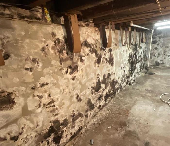 Mold on basement walls